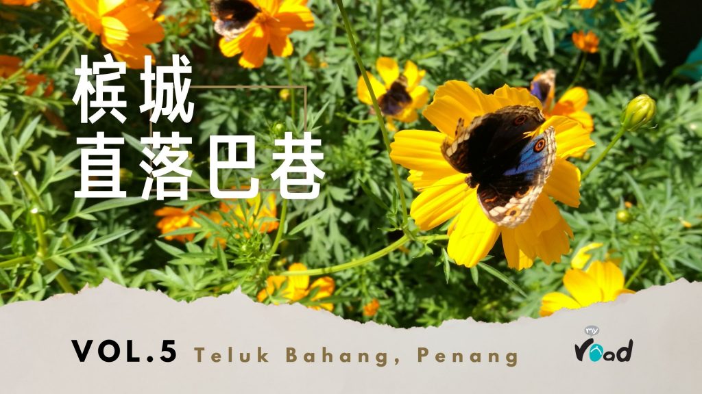 蝴蝶生态零距离接触