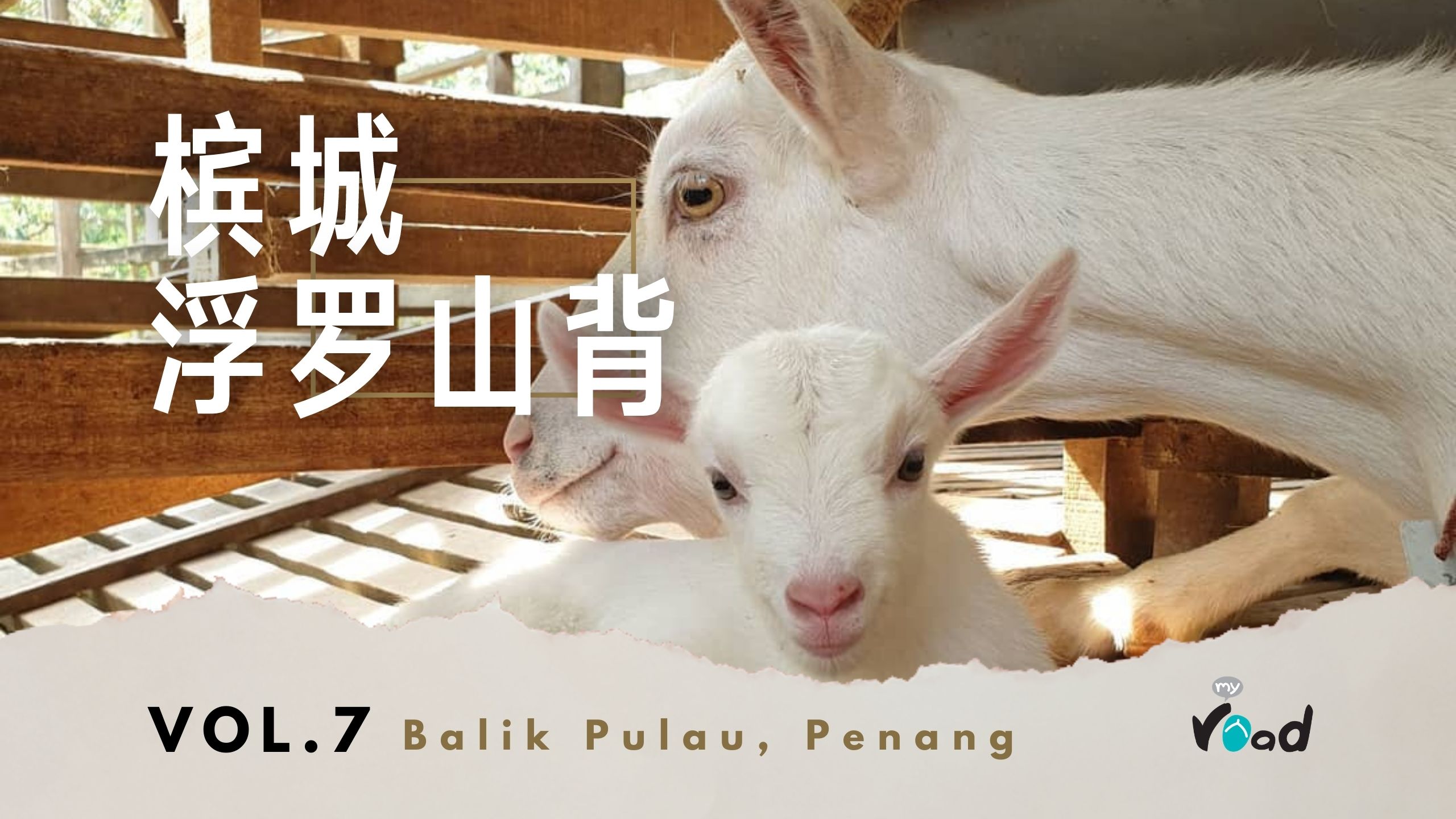 槟城：梦田休闲农场、莎能牧羊场、热带果园  Penang – Audi Dream Farm, Saanen Dairy Goat Farm, Tropical Fruit Farm