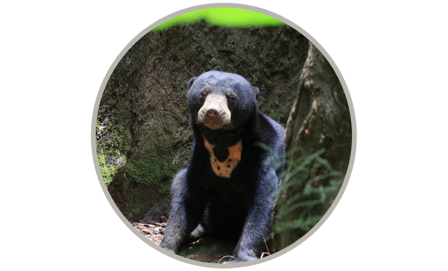 My Road Planner_旅游学堂_会员_马来熊