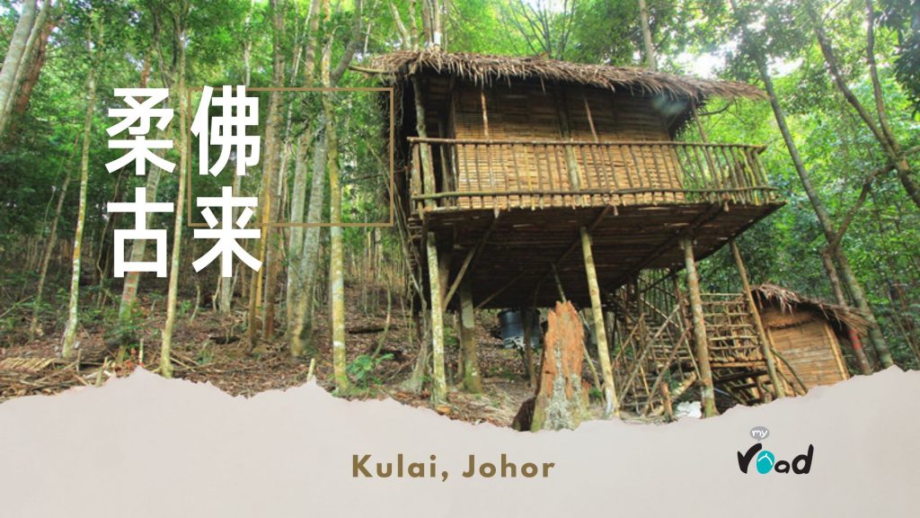 被森林包围的树屋