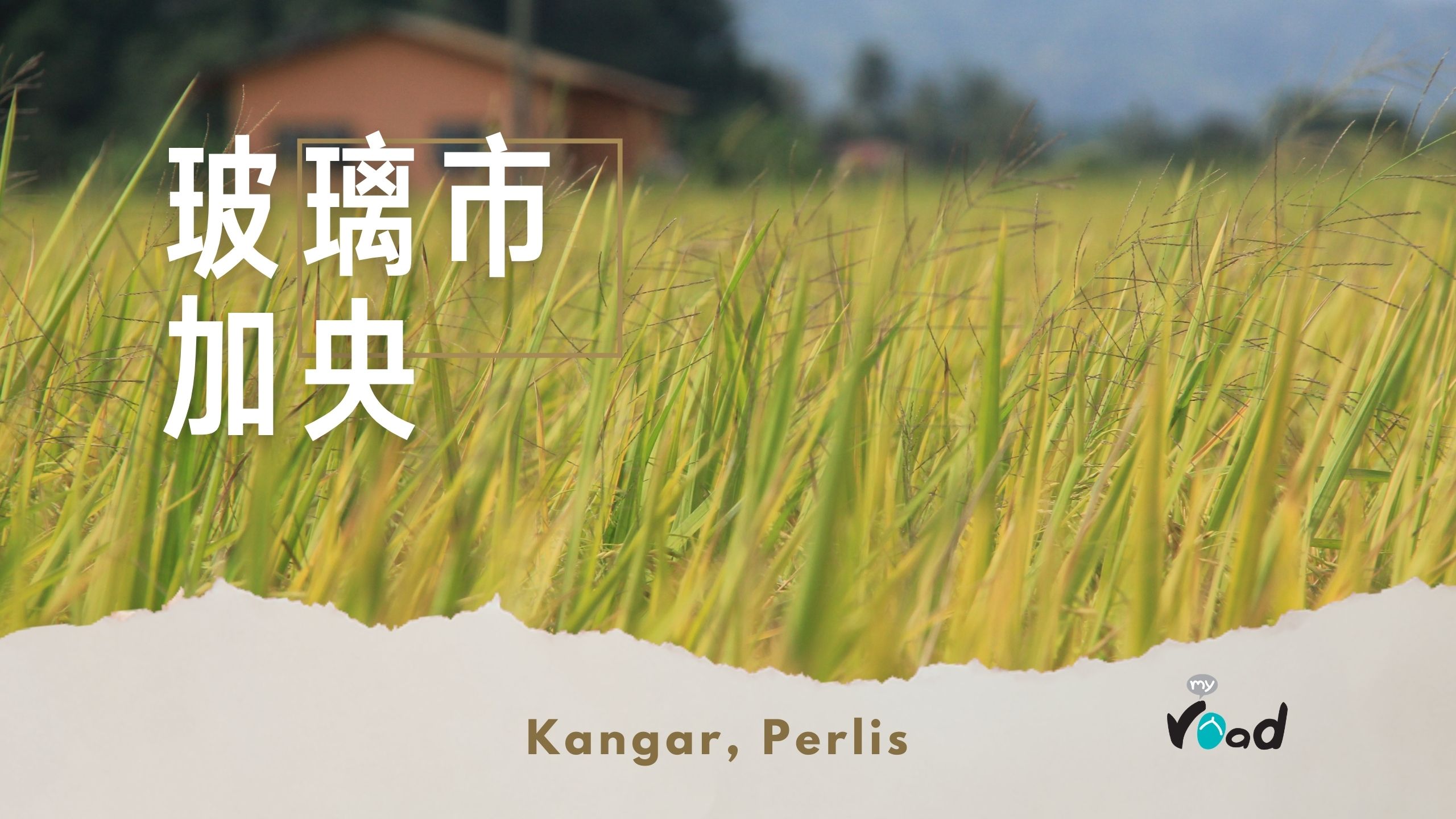 玻璃市：R159 的稻田风光