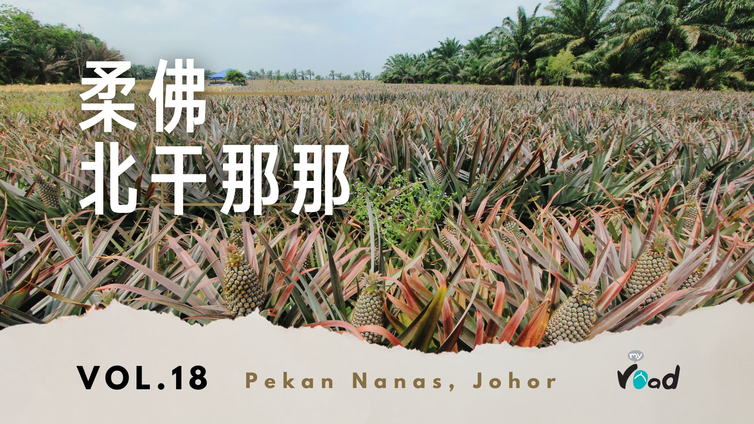 柔佛：Nictar 黄梨公园 Nictar Pineapple Park, Johor