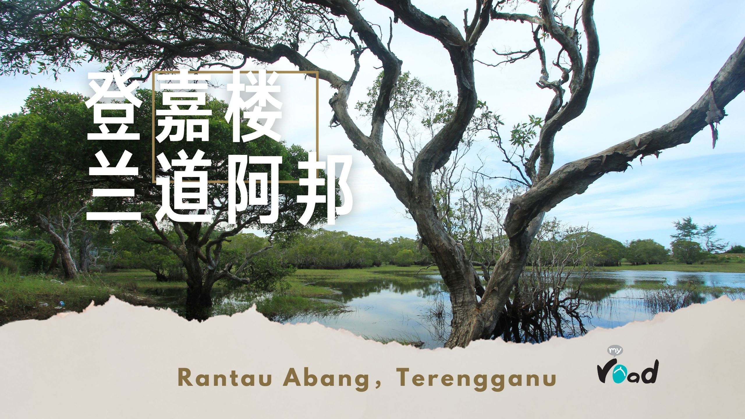 登嘉楼：红树林的魔法世界