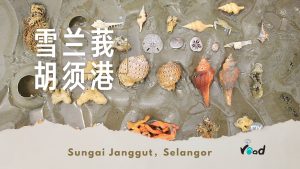 雪兰莪：瓜雪胡须港——温情的海 。浪滔滔民宿
