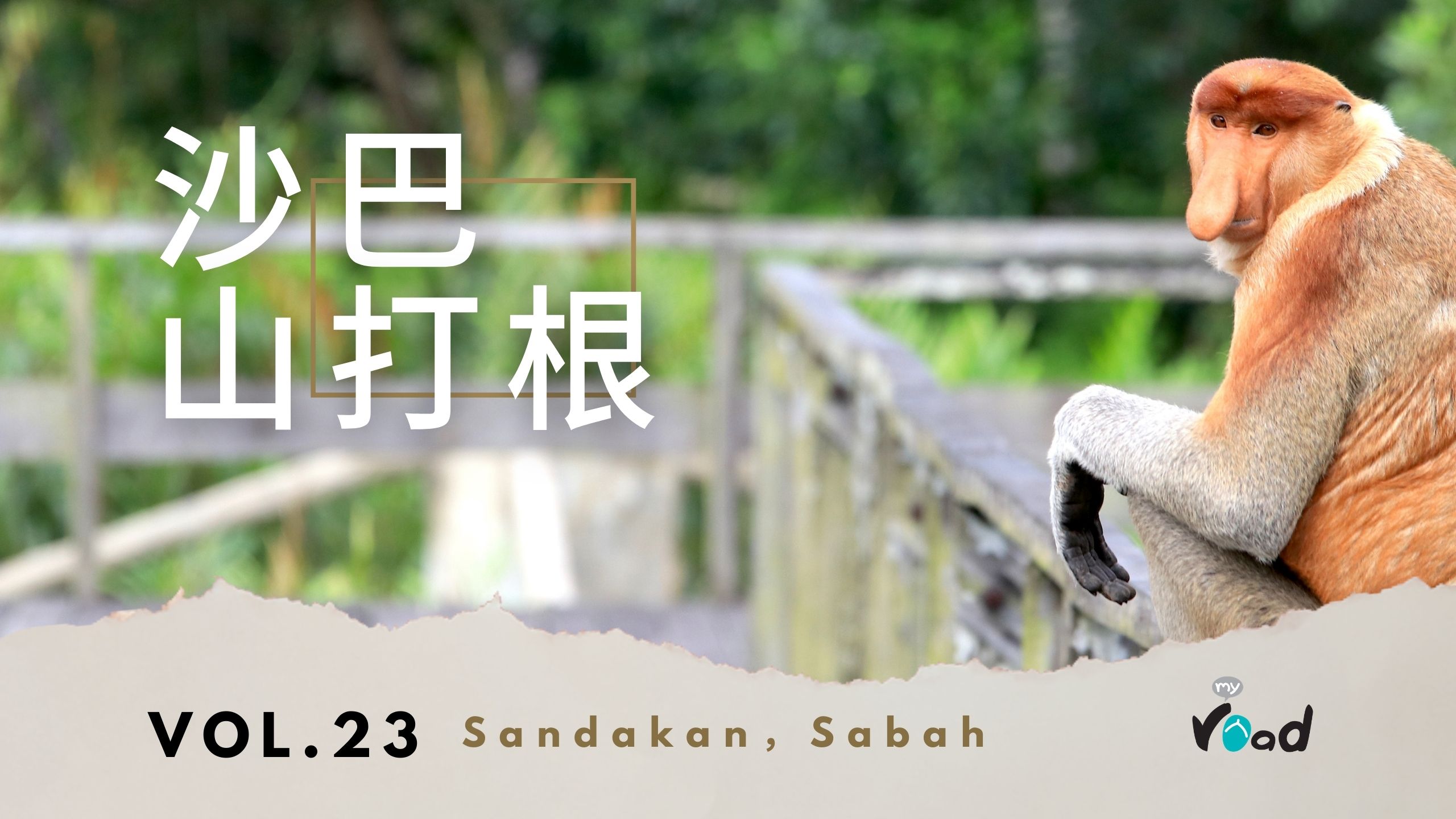 沙巴：拉布湾长鼻猴保育中心 Labuk Bay Proboscis Monkey Sanctuary, Sabah